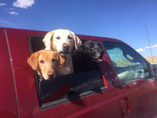 Road Rangers Recovery