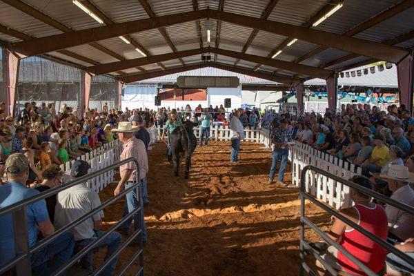 Southwest Washington Fairgrounds