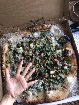 Hand for scale