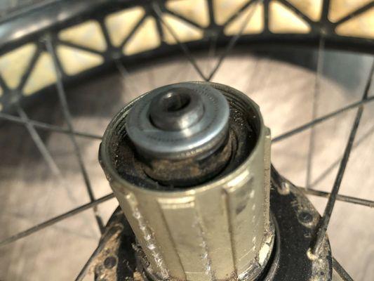 PRO BIKE+ South Hills