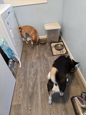 Pawesome Pet Services LLC