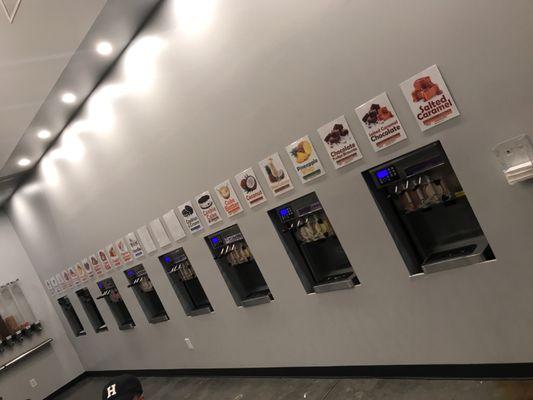 Wall of FroYo flavor options (24)