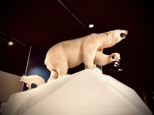 Delaware Museum of Nature and Science