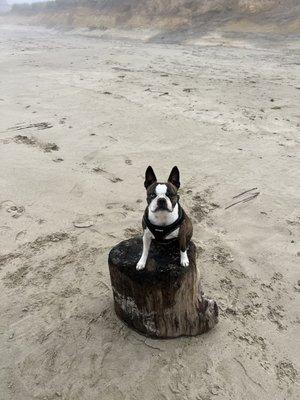 Tillicum Beach Campground