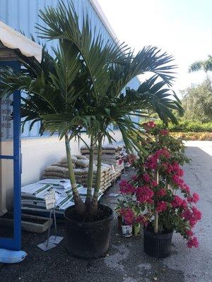 Naples Fertilizer & Garden Centers