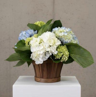 Hopper Hills Floral & Gifts