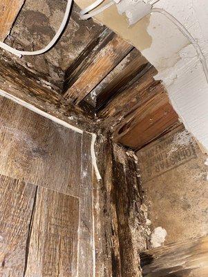 This is a photo of some of the moisture and mold that was found in my walls when my unit flooded.