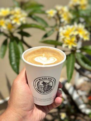 Black Dog Coffee Roasters