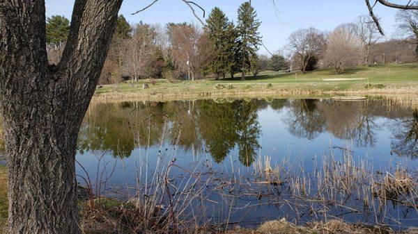 Northport Golf Course