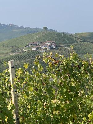 Mr & Mrs Italy Handpicked Experiences