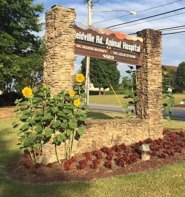 Reidville Road Animal Hospital