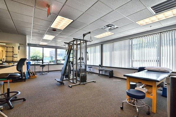 Professional Physical Therapy