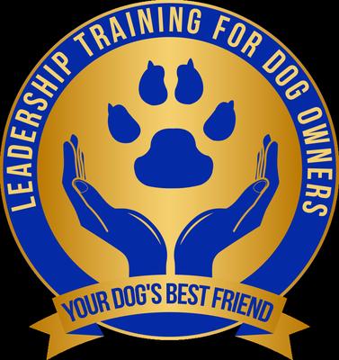 Your Dog's Best Friend