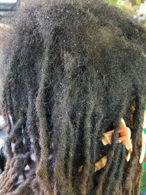 Thinning roots received healthy care creating growth. Look here is prior to a theraputic massage, gentle shampoo, retwist, & healthy oiling.