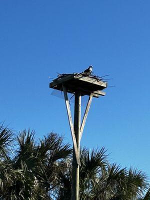 Twin Isles Country Club