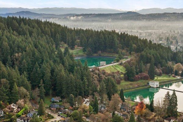 Bonnie Roseman & Team - Living Room Realty