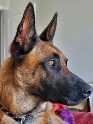 Paige Tyson Training