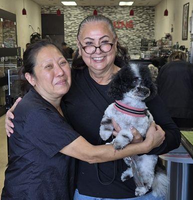 Puppy House & Grooming