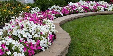 Stoney Creek Landscape Management Company