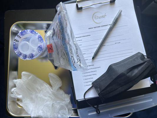 Pinnacle Lab Services