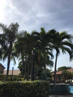 Lakeridge Greens Home Owners Association