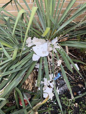 Keystone Management Group