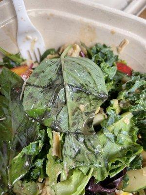 sweetgreen