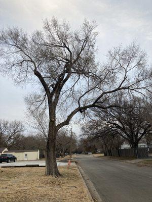 Wichita Junk Removal Company