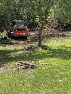 Sonshine Tree Removal and Landscaping