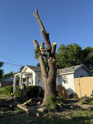 Ramey's Tree Experts