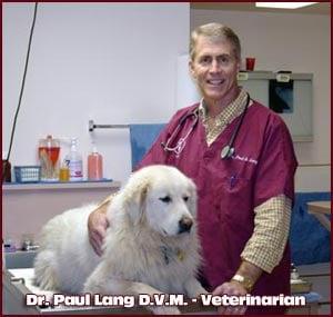 Dr. Paul Lang