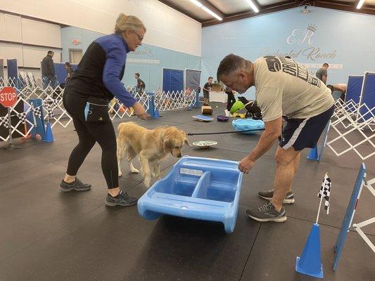 Training your dog to get used to a lot of unknowns. She got in!