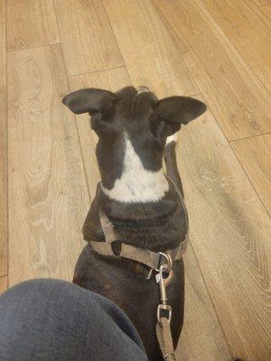 Waiting for Dr. and treats of course