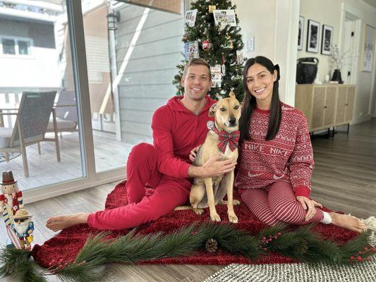 Who's Walking Who? Dog Training