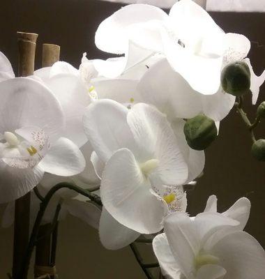 Little Spa Around the Corner