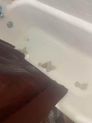 The Alpine Apartments