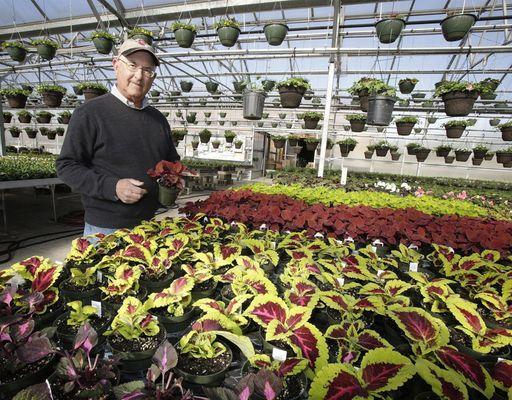 Moyer's Nursery & Landscaping