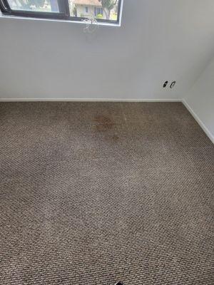 See this stain. This was not there before they cleaned.