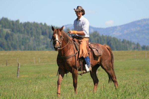 Yellowstone Horses at Eagle Ridge Ranch