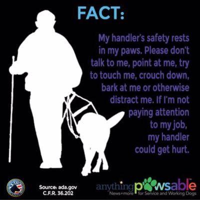 All Service animals are welcomed.