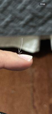 Cosmos Fine Nail Salon