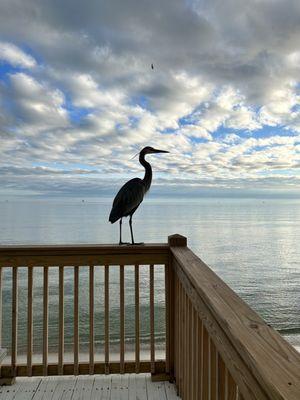 Dauphin Island West End Beach