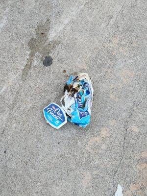 Superior Septic/Clean Can