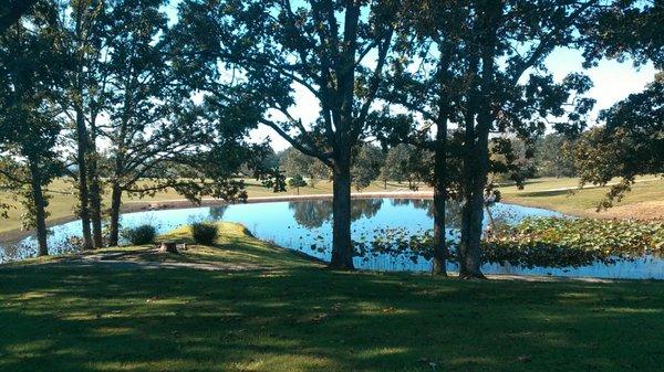 Willow Springs Municipal Golf Course