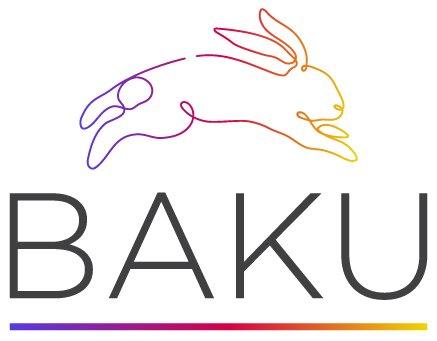 Baku Solutions
