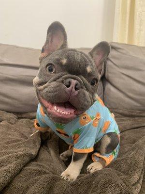 Woof and Wag Petcare