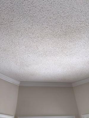 Quality Preparations