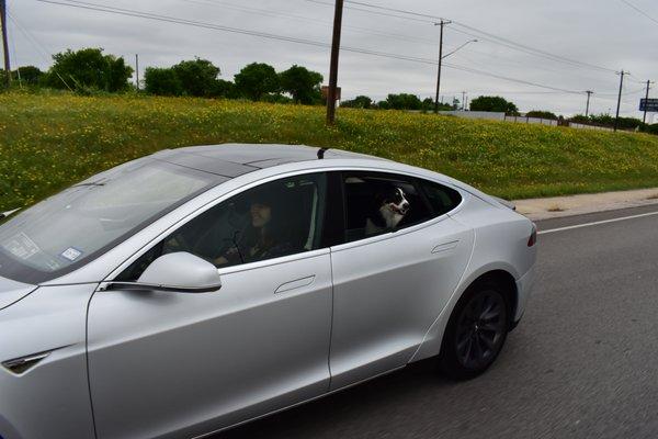 We escort Pets as well! Safest, Highest tech vehicle on the road, climate controlled for your pet's comfort!