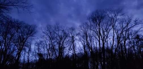 woody gap georgia appalachian trail georgia