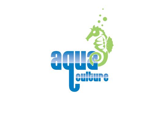 Where Swimmers Love to Learn!